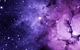 Purple Passion