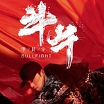 Bullfight