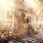 Paved Garden