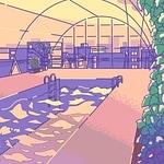 FOUR SEASONS