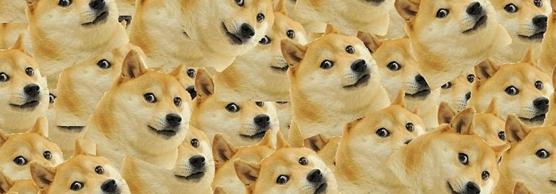 Которую сейчас можно легко. Доге. Доги хлеб. Мем. Doge в шапке.