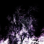 MOONEARTH