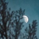 A Fool Moon Night