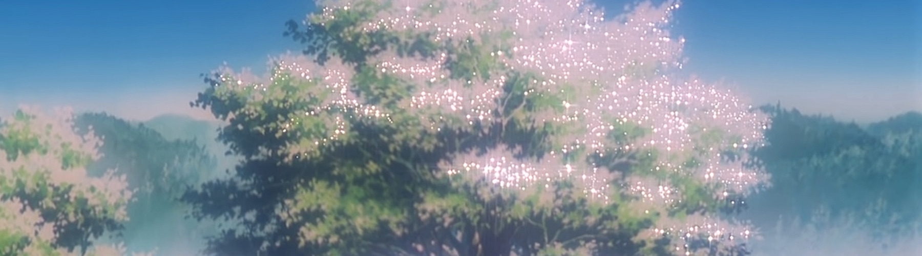 bloom.