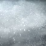 snow storm -euphoria-