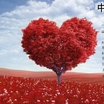 Chinese Car DVD Songs Collection 5