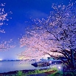 Haryu