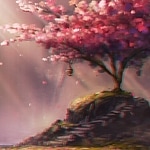 cherry blossoms explode across the dying horizon (Cut Ver.)