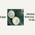 sweet trip noise is a social skill