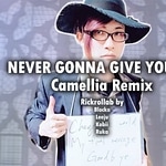 Never Gonna Give You Up (Camellia Remix)