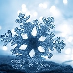 Snow Wish