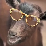 GENTLEMAN (Goat Remix)