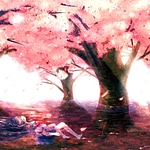 Sakura Mirage