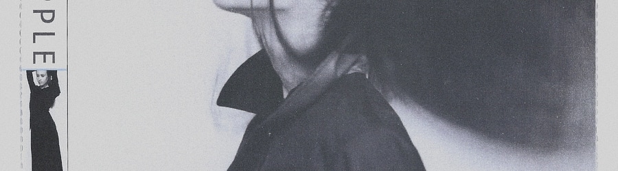 Fiona Apple - The First Taste banner
