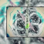 Ai to Bonnou to Rinne to Joushiki no Gokusai Sekai