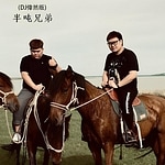 Carry the gun, let go of the sheep (DJ Wei Ran Remix)