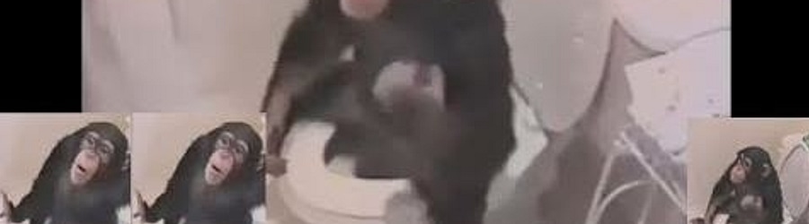 pelzer - monkey, regret, bathroom banner
