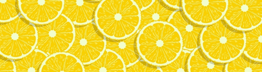 S-C-U - yellow head joe banner