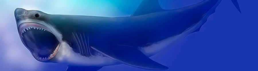 Jarvis9999 - Megalodon banner
