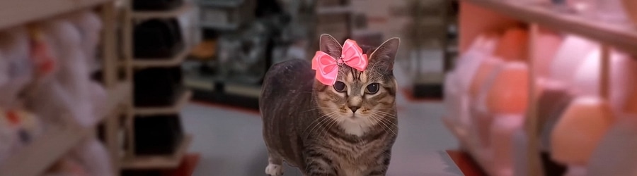 Bukaka Meme - OIIAOIIA CAT x AFTER DARK banner
