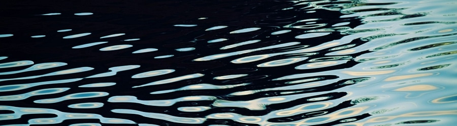 Deftones - Cherry Waves banner