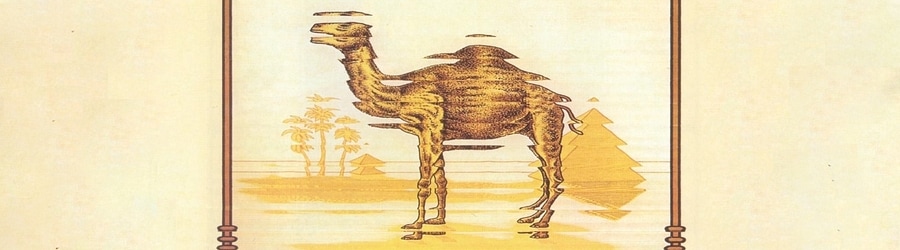 Camel - Freefall banner