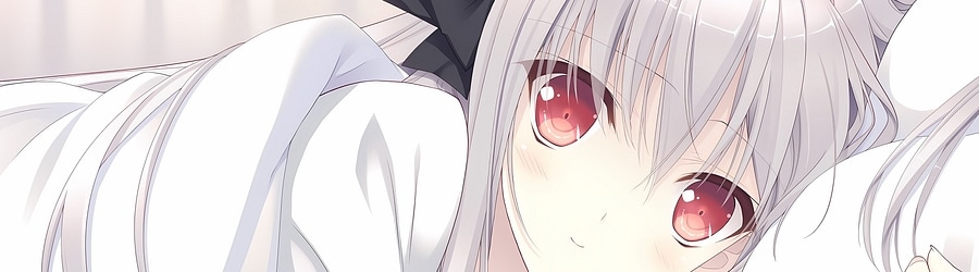 Misato Aki - DESIRE banner