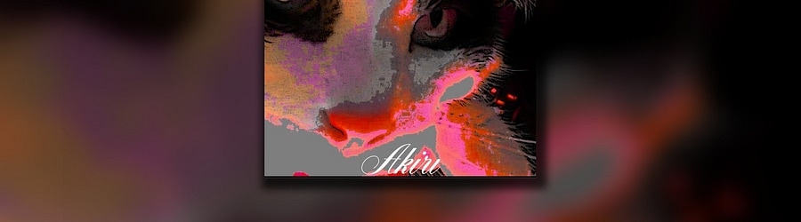 Akiri - the song of 2024 banner