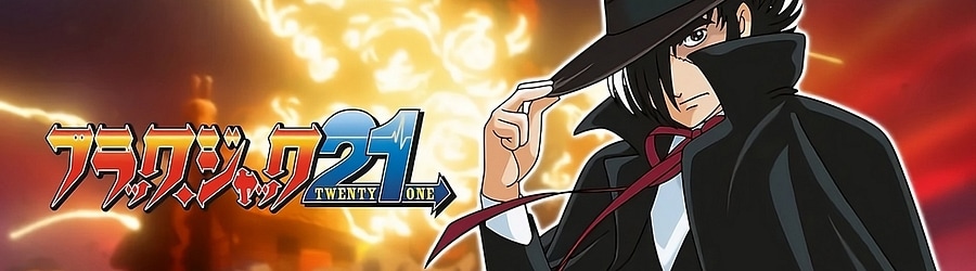 Hitomi Shimatani - Destiny -Taiyou no Hana- (TV Size) banner