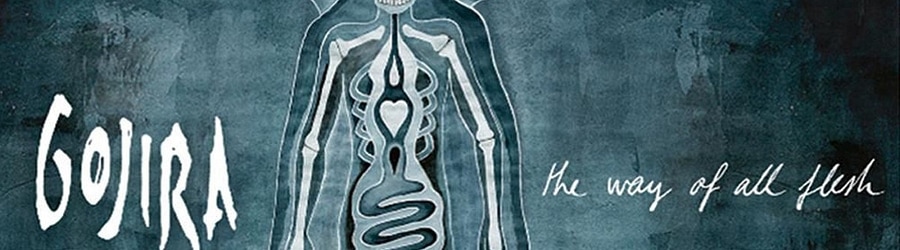 Gojira - Esoteric surgery banner