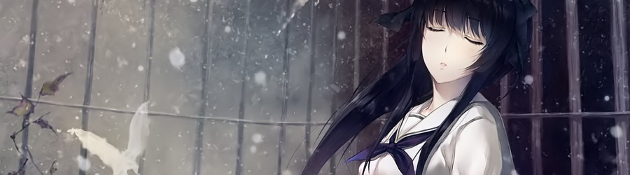 Shimotsuki Haruka - Solenoid banner