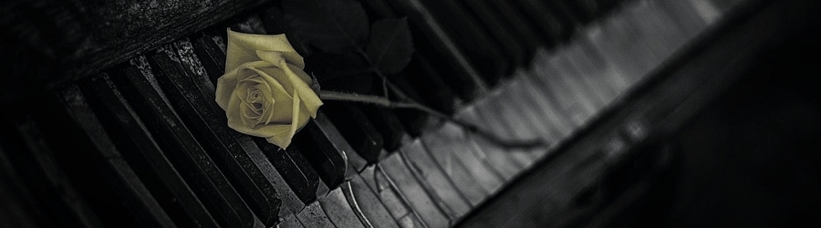 xi - d e a t h  p i a n o ~for four pianos~ banner