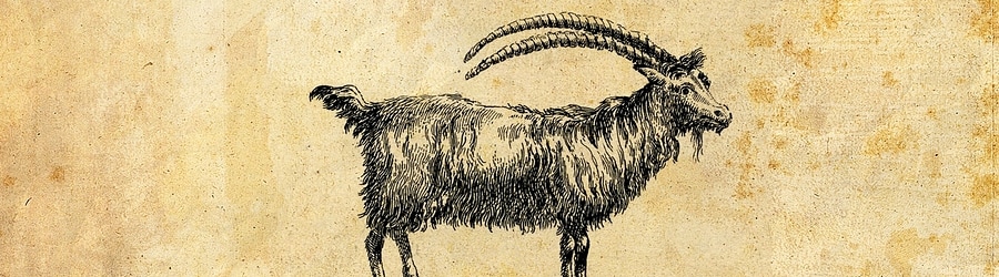 Igorrr & Ruby My Dear - Biquette banner