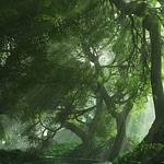 Forest Haze