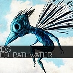 The Bird's Poisoned Bathwater