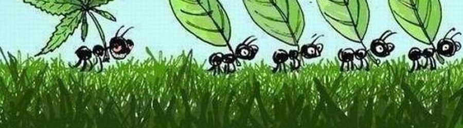 The Kiboomers - The Ants Go Marching banner