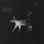 Feline, the White...