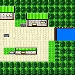New Bark Town