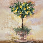 Lemon Tree